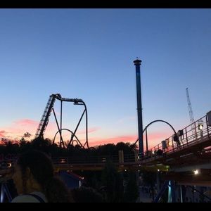 Meet your Posher, Alexandra